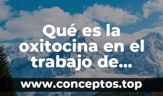 Qué es la comunicación efectiva en el trabajo 8 Qué es la oxitocina en el trabajo de parto
