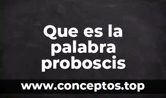 Qué es el significado de la palabra litro 3 Que es la palabra proboscis
