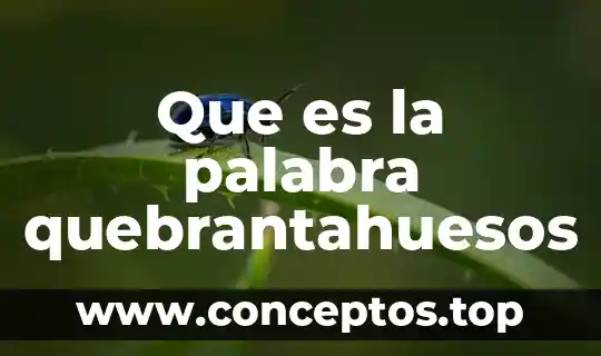 Qué es la palabra como signo 5 Que es la palabra quebrantahuesos