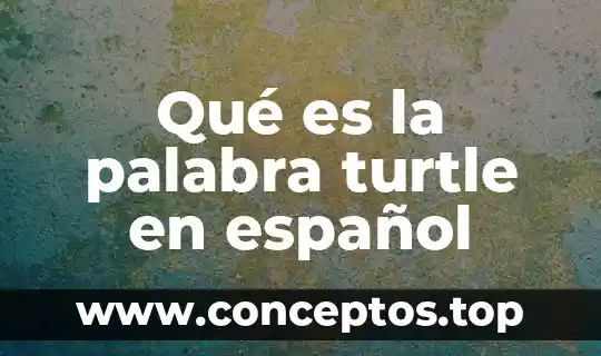 Que es significa la palabra negocio 8 Qué es la palabra turtle en español