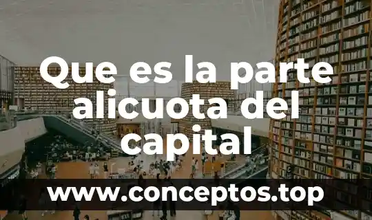 Que es la parte alicuota del capital
