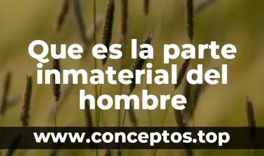 Que es la parte inmaterial del hombre