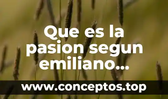 Que es la pasion segun emiliano zapata