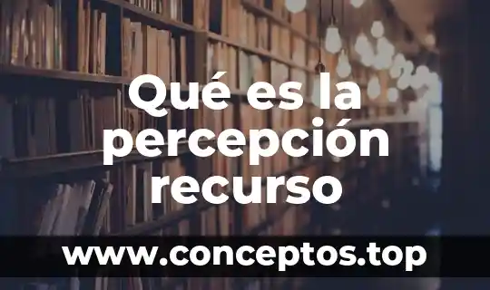 Qué es la percepción recurso