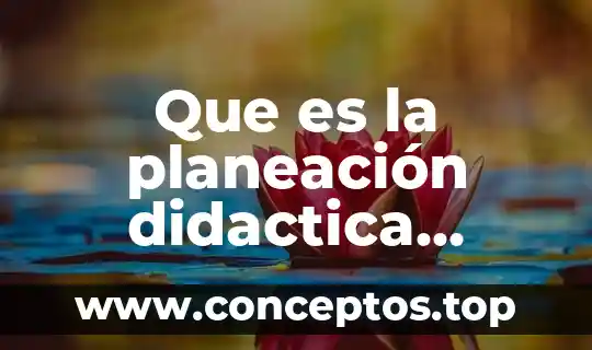 Que es la planeación didactica argumentada para primaria