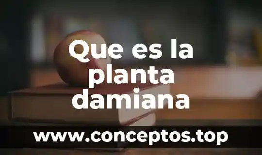 Que es la planta damiana