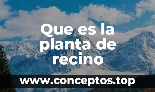 Que es fallos de una planta 8 Que es la planta de recino