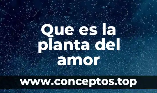 Que es la planta del amor