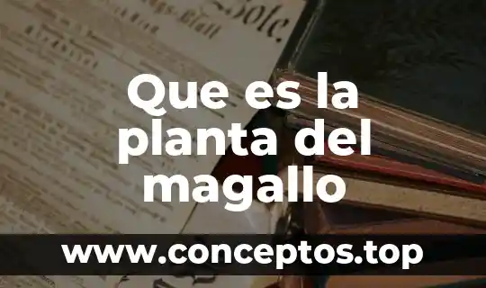 Qué es una planta fotovoltaica 3 Que es la planta del magallo