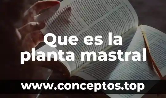 Que es la planta mastral