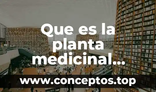 Que es la chaya planta medicinal 6 Que es la planta medicinal agracejo