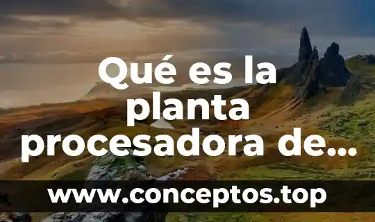 Qué es la planta procesadora de nopal en Milpa Alta