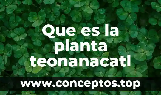 Que es fallos de una planta 6 Que es la planta teonanacatl