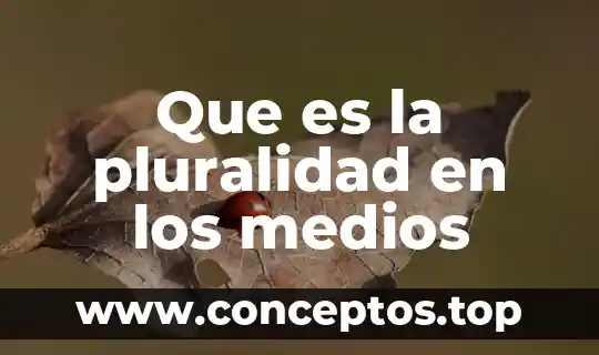 Que es la pluralidad en los medios
