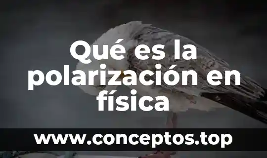 Qué es la polarización en física