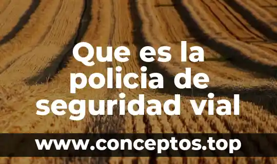Que es la policia de seguridad vial