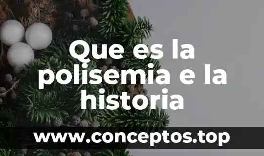 Que es la polisemia e la historia