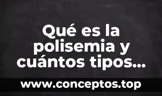 Qué es la polisemia y cuántos tipos de polisemia hay