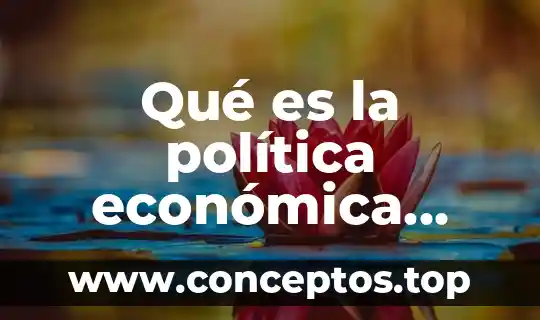 Qué es la política económica instrumental