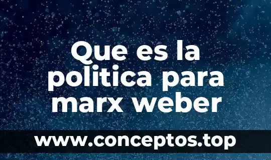Que es la politica para marx weber