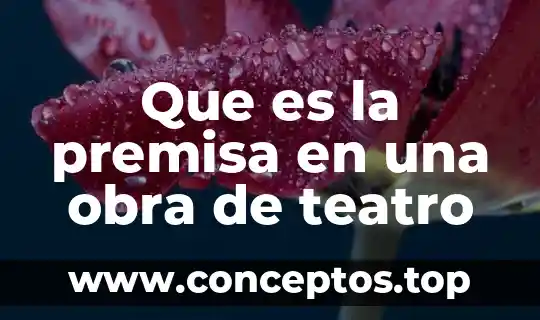 Que es la premisa en una obra de teatro