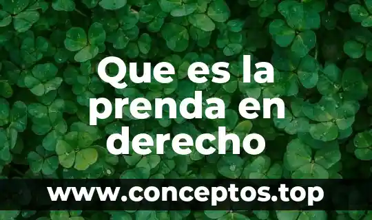 Que es la prenda en derecho