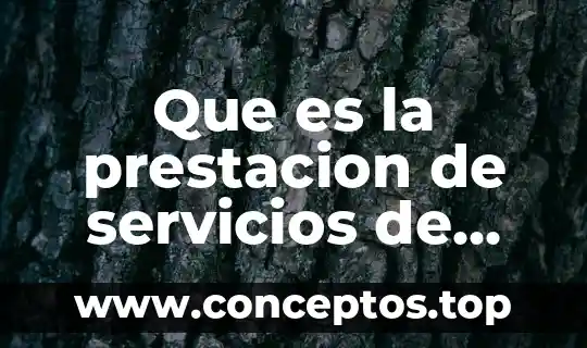 Que es la prestacion de servicios de atencion al cliente