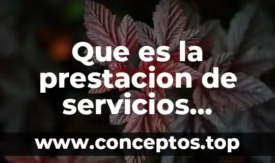 Que es la prestacion de servicios personales independientes