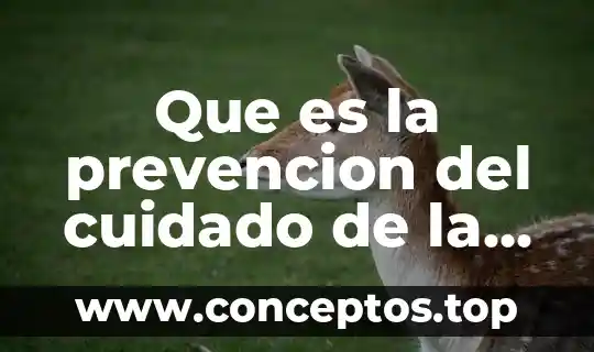 Que es la prevencion del cuidado de la salud