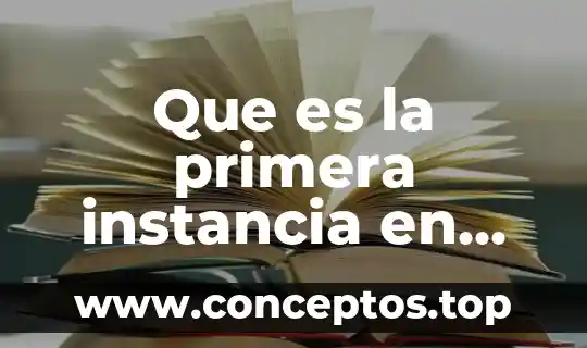 Que es la primera instancia en derecho civil