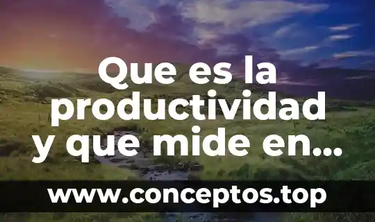 Que es la productividad y que mide en la empresa