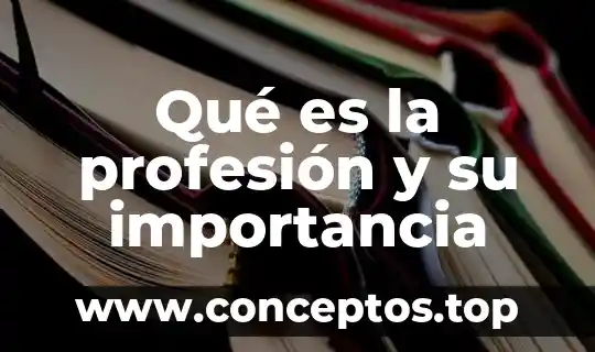 Que es importancia a la disciplina tesis 3 Qué es la profesión y su importancia