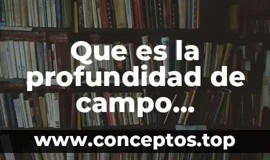Que es un problema en el campo de la investigacion 6 Que es la profundidad de campo reducida