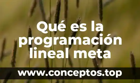 Qué es la programación lineal meta