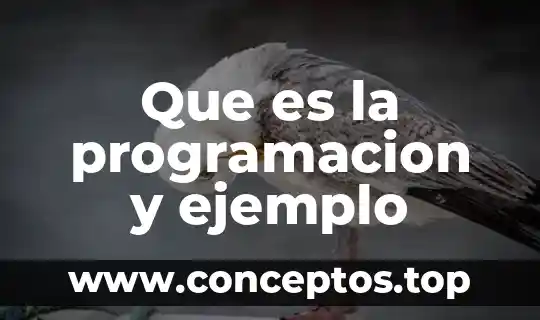 Que es la programacion y ejemplo