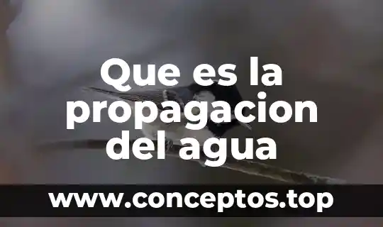 Que es la propagacion del agua