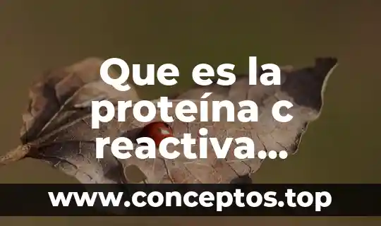 Que es la proteína c reactiva ultrsencible