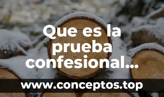Que es la prueba confesional civil
