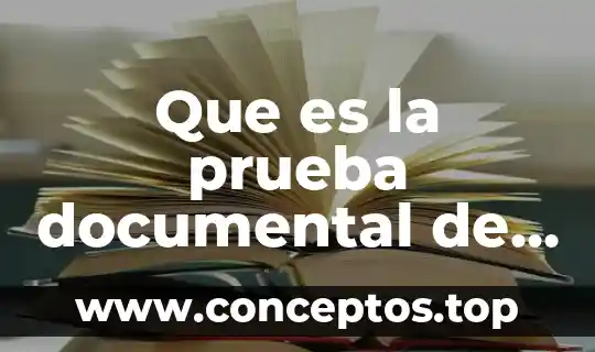 Que es la prueba documental de origen