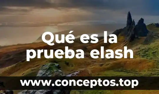 Qué es la prueba elash