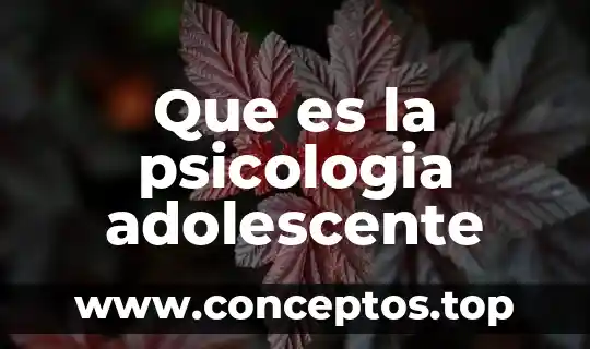 Que es la psicologia adolescente