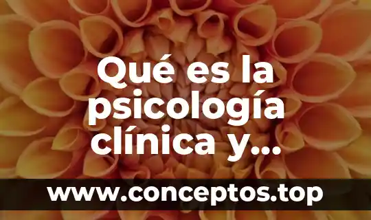 Qué es la psicología clínica y consejería