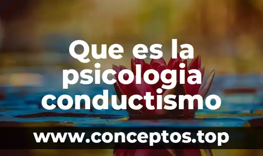 Qué es dismnesia en psicología 3 Que es la psicologia conductismo