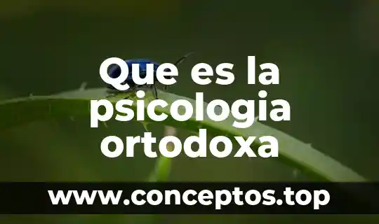 Psicología soviética que es 5 Que es la psicologia ortodoxa