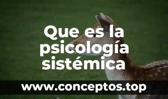 Que es la psicología sistémica