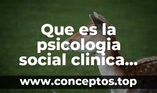 Que es la psicologia social clinica educativa organizacional