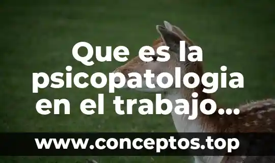 En un ensayo que es la hipótesis 7 Que es la psicopatologia en el trabajo ensayo