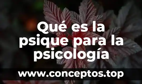 Qué es la psique para la psicología