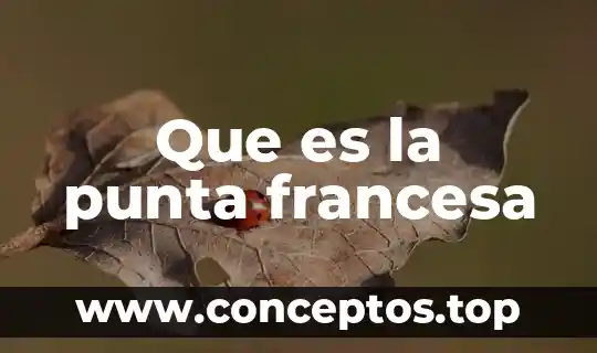 Que es la punta francesa