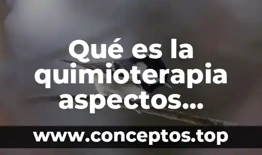 Que es aspectos administrativos 7 Qué es la quimioterapia aspectos médicos
